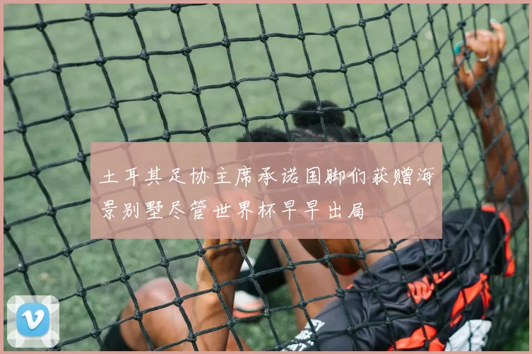 土耳其足协主席承诺国脚们获赠海景别墅尽管世界杯早早出局